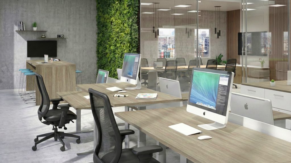 Office Environment 1009
