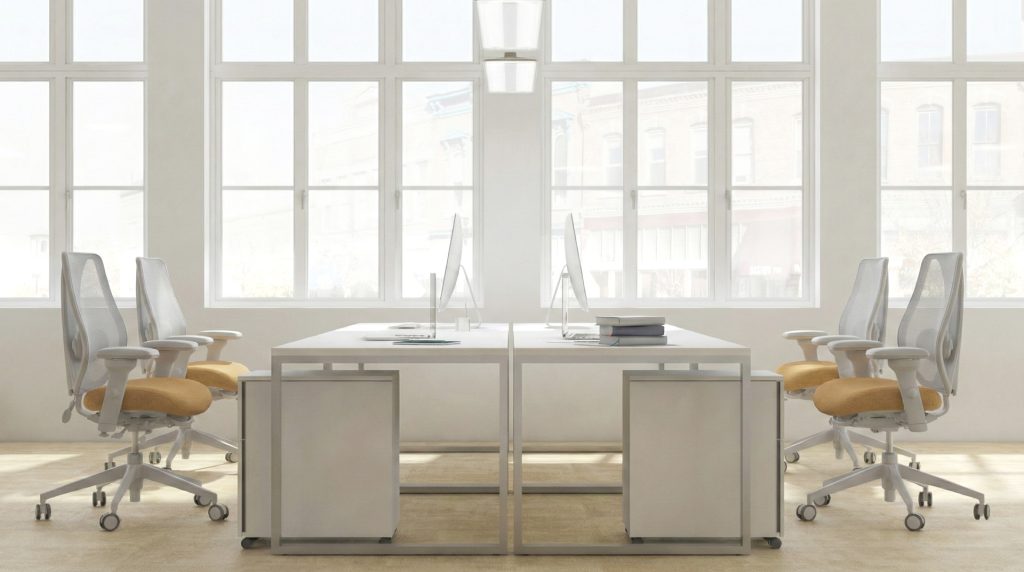 Office Environment 1003